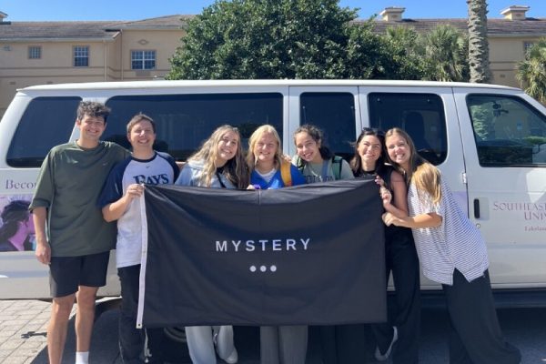 Mystery Large